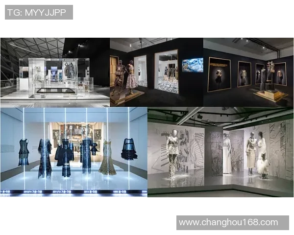 深圳乒乓球队转型升级之路探索与创新的深度剖析